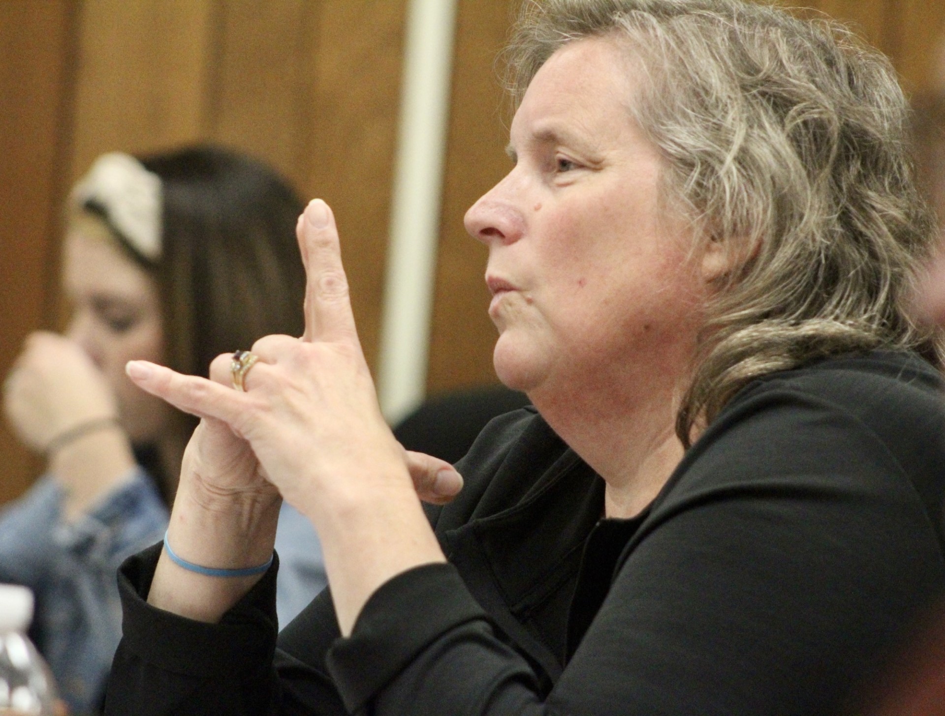 Williams Street concerns heard at town meeting News, Sports, Jobs